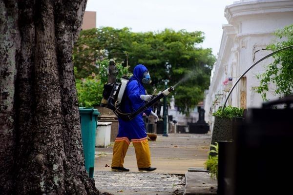 Salvador sai da lista de cidades em epidemia de dengue; mortes sobem para 63 na BA