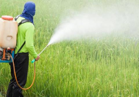 Projeto de lei proíbe uso de agrotóxicos que causam câncer