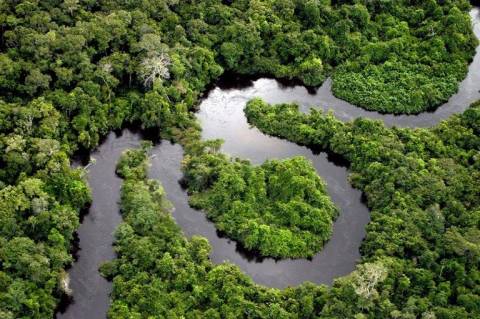 Amazônia registra 3º menor desmatamento da história