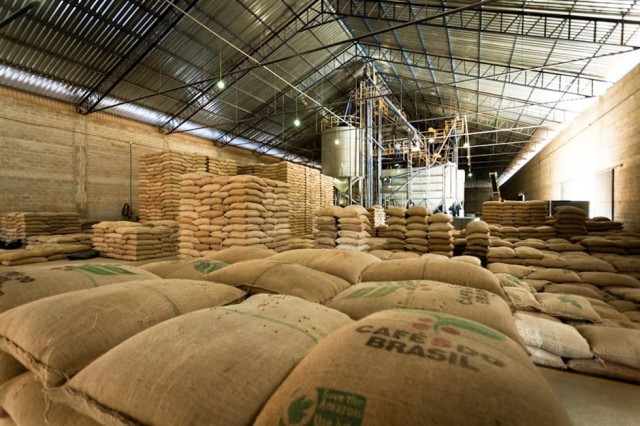 Conab aponta para safra de café em 53,4 milhões de sacas em 2022