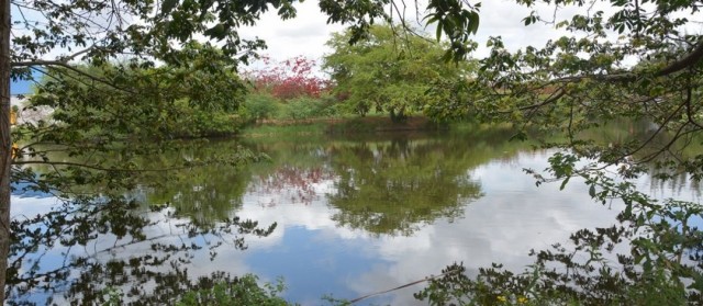 Parque da Lagoa tem programação para Dia Mundial do Meio Ambiente
