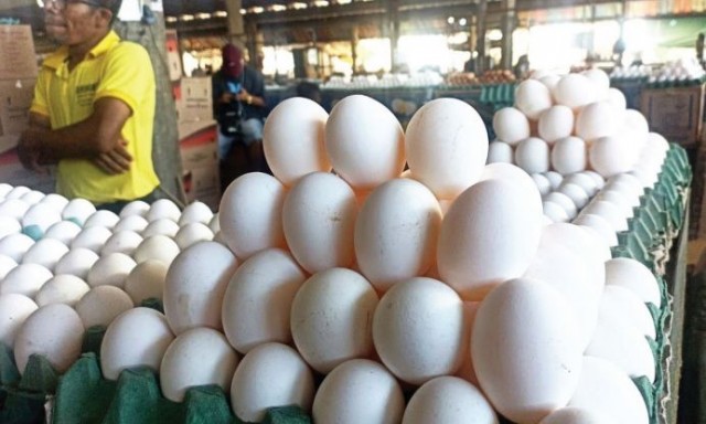 Preço do ovo dispara também em Feira de Santana