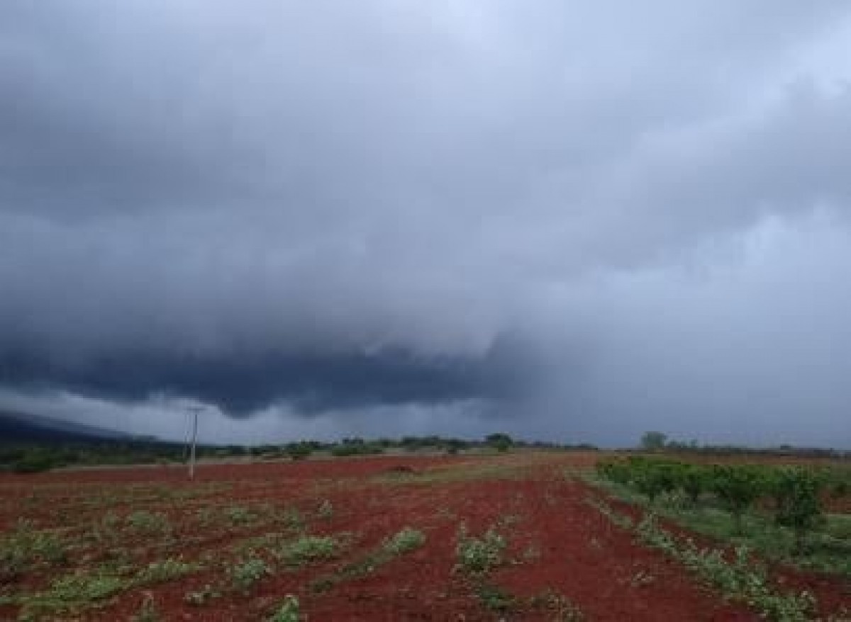 Monitor aponta para redução de área com seca no território baiano - Folha  do Estado da Bahia