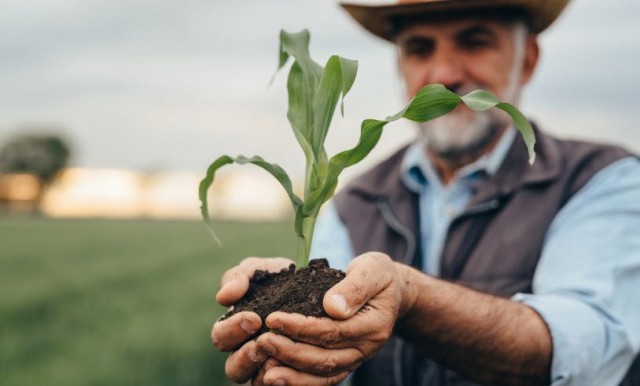 Foto: iStock