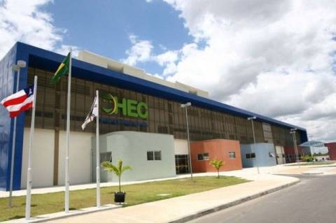 Criança de 2 anos morre no HEC após ser picado por escorpião