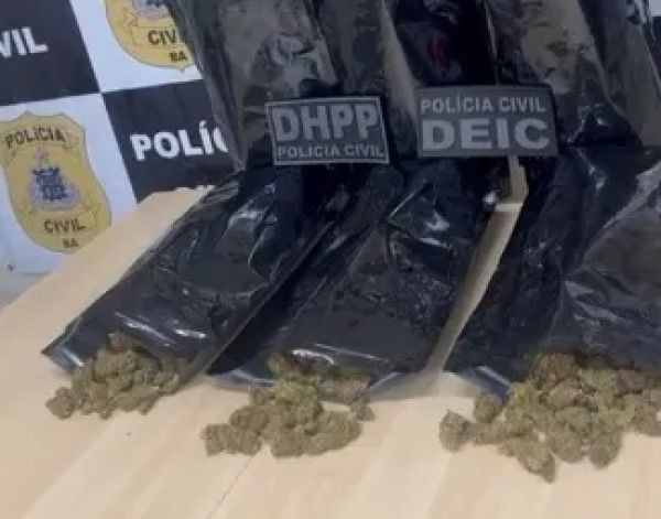 Operação apreende maconha do tipo 'crush', que seria comercializada na Micareta de Feira