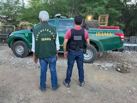Polícia Federal deflagra operação em combate ao tráfico de animais no norte
da Bahia