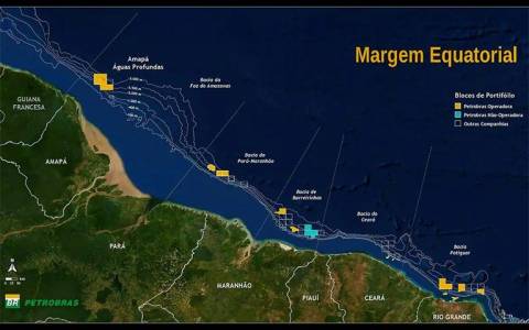 Ibama aprova plano da Petrobras de proteção à fauna na Margem Equatorial