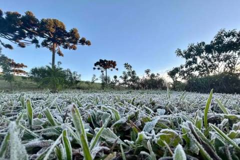 Ao menos 8 capitais devem registrar recordes de baixas temperaturas