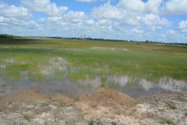 Foto: Jorge Magalhães - Arquivo
