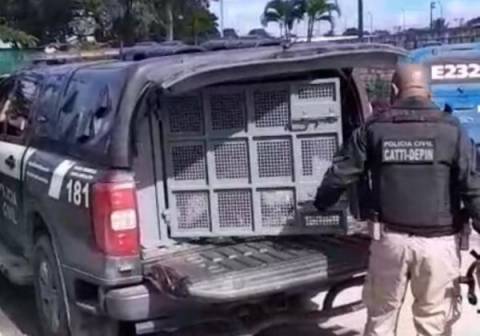 Três suspeitos do homicídio de guarda municipal são presos no extremo sul da Bahia