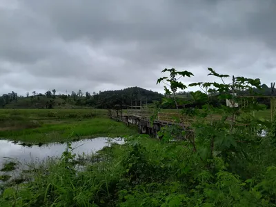 Acelen é autuada por suspeita de crime ambiental
