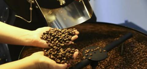 Com tarifaço, produtores podem estocar café para vender apenas em 2026