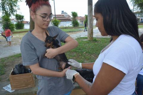 Vacinação contra a raiva começa em Humildes nesta quarta-feira (13) em Feira de Santana