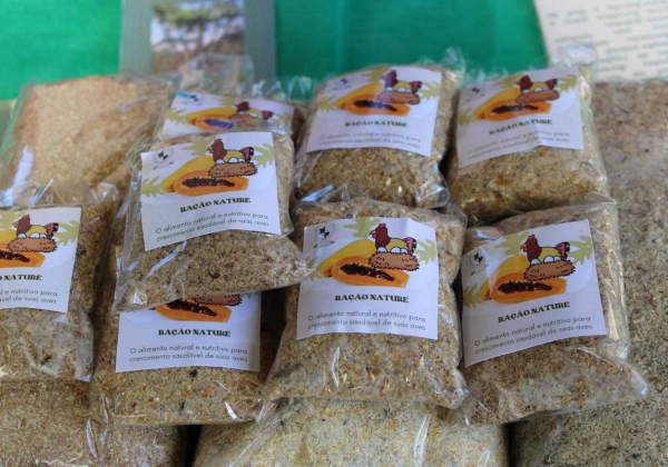 Estudantes baianos produzem ração para aves à base de caule