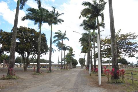 Preparativos no Parque de Exposição avançam para a Expofeira 2025