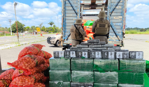 Motorista de caminhão é preso com mais de 500kg de cocaína em São Gonçalo dos Campos