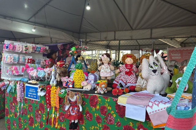SEDESO divulga balanço da atuação na 46ª Expofeira