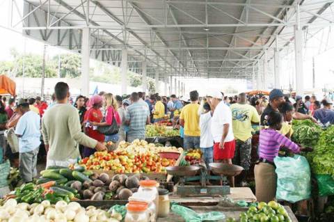 Da Cidade Nova ao Tomba: feiras resistem conectando pessoas e dando sabor às boas histórias