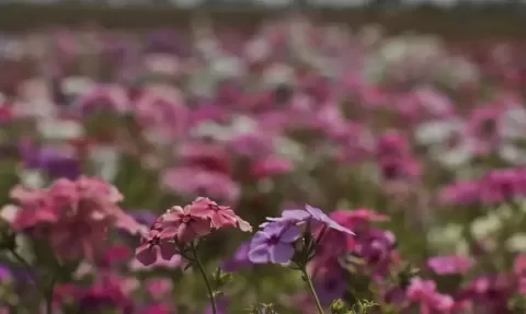 Primavera começa com chegada de frente fria, temporais e fortes ventos