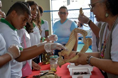II Feira Multidisciplinar reunirá 23 escolas com trabalhos de Ciências, Educação Ambiental e Matemática