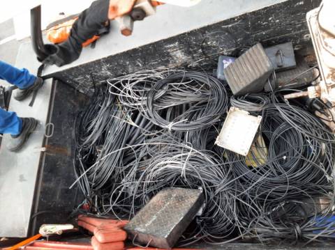 17 municípios baianos recebem a Operação Gatonet nesta semana; confira a agenda