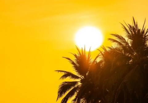 Mais de 70 cidades da Bahia entram em alerta por baixa umidade do ar