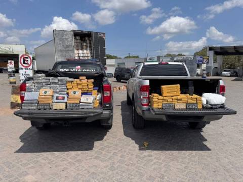 Operação conjunta apreende mais de 200 kg de drogas em Santo Estêvão