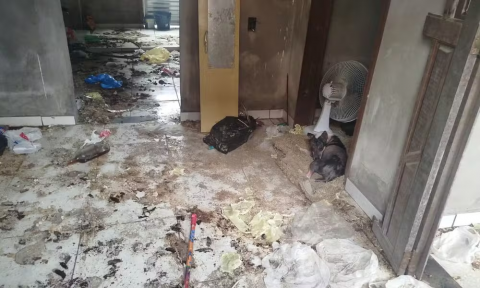 Homem é preso por maus-tratos a animal em Feira de Santana