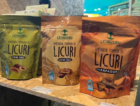 Cardápio da COP30 destaca produtos da agricultura familiar da Bahia