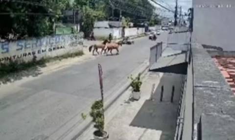 Motociclista fica ferido após colidir com cavalos soltos em Feira de Santana