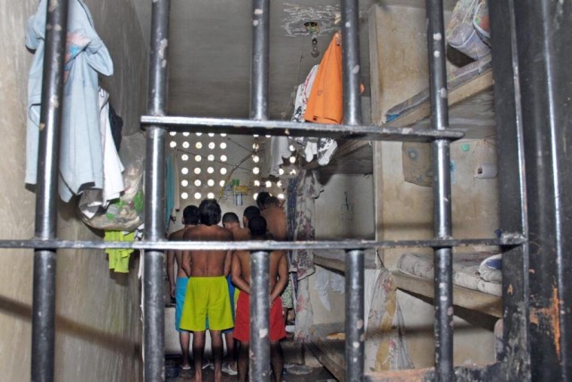 Polícia apreende aves comercializadas ilegalmente em Simões Filho