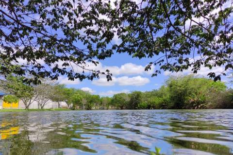 Parques da Lagoa e da Cidade terão funcionamento especial durante o fim de ano