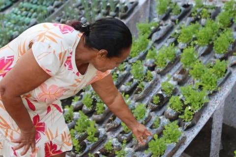 Em parceria com multinacional, Estado inaugura horta sustentável em Feira de Santana