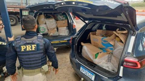 Polícia intercepta carregamento de 340kg de drogas na BR-116 em Feira de Santana