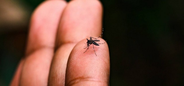 Dengue pode atingir 1,8 milhão de casos no Brasil em 2026