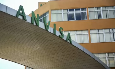 Anvisa manda fabricante recolher panetones com fungo na superfície