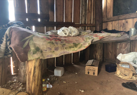 Brasil atinge recorde histórico de denúncias de trabalho escravo em 2025