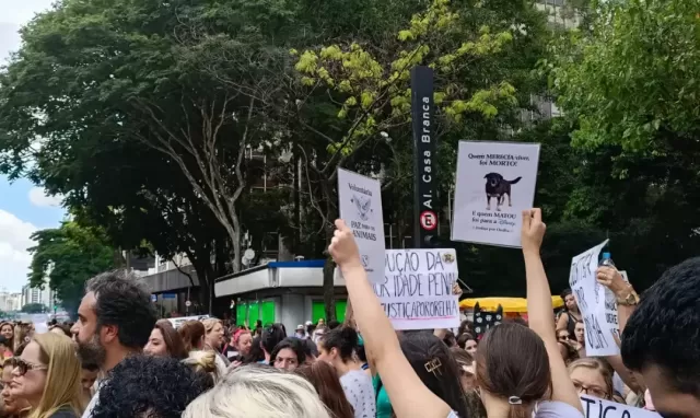 Milhares de manifestantes pedem justiça em SP após morte do cão Orelha