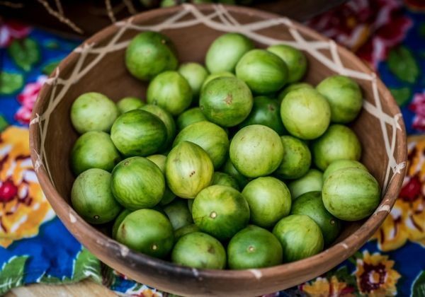 Projeto quer transformar fruta em patrimônio cultural da Bahia