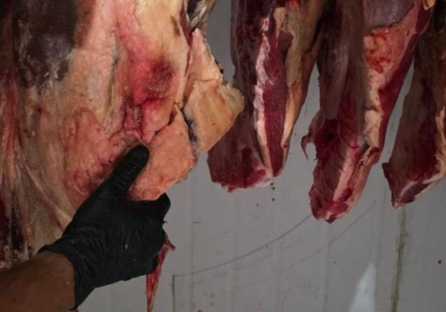 Esquema de furto e abate clandestino de gado é desarticulado no Sul e Sudoeste da Bahia