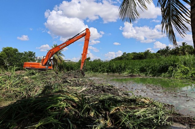 Com problemas históricos de drenagem, Lagoa do Papagaio passa por obras de urbanização