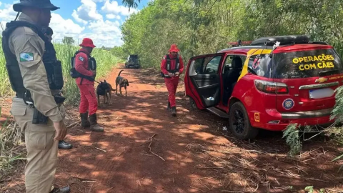 Menina de 8 anos sequestrada é encontrada morta no PR
