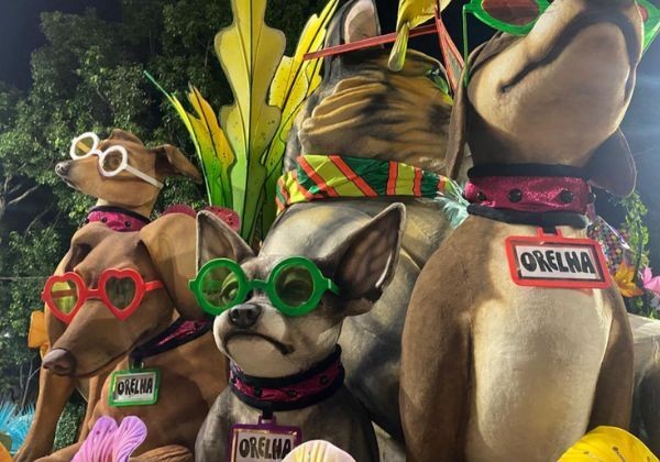 Cão Orelha é homenageado por escola de samba no Carnaval do RJ