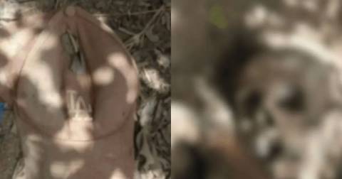 Ossada humana é encontrada às margens da BR-101 no extremo sul da Bahia