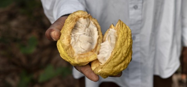 Brasil suspende importação de cacau da Costa do Marfim