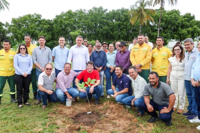 Projeto de arborização urbana deve alcançar 12 cidades do interior da Bahia