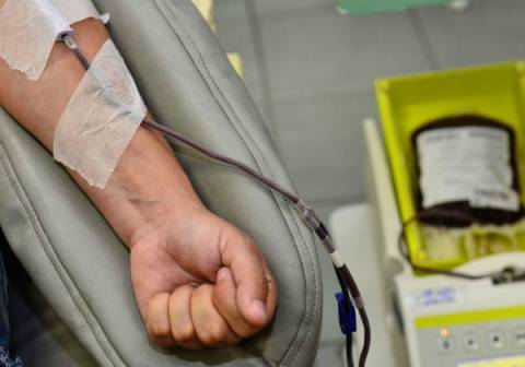 Exame de sangue pode identificar Alzheimer, aponta estudo