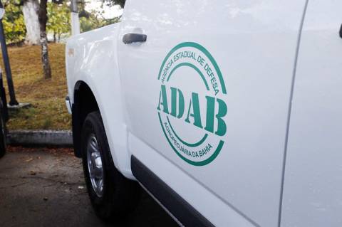 Governo republica edital de inscrição para concurso da Adab