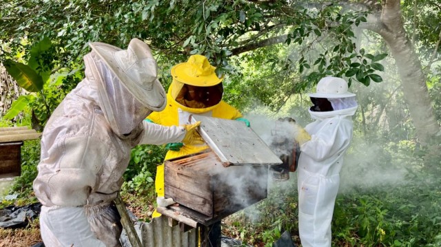 Entrega de kits em comunidades rurais fortalece apicultura no Recôncavo Baiano